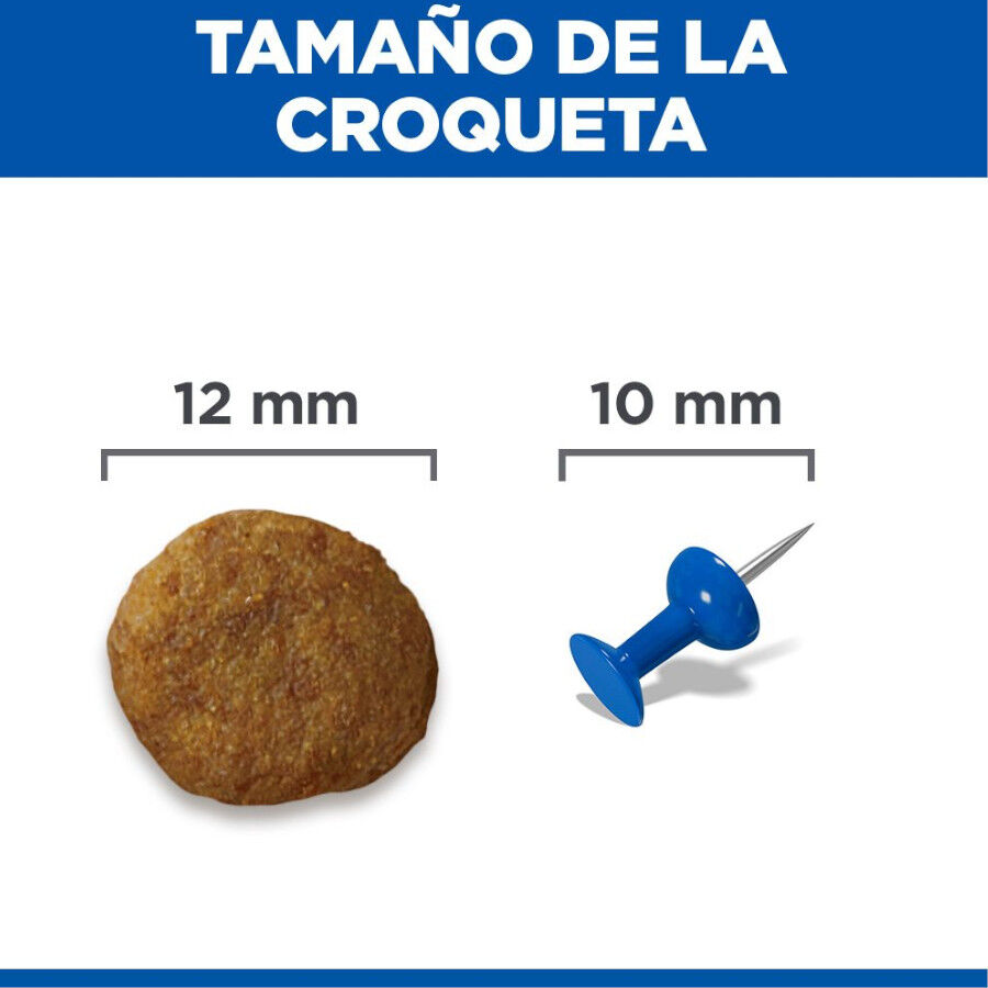14 kg Hill's Science Plan Medium Mature Adult Frango ra&ccedil;&atilde;o para c&atilde;es, , large Imagem n&uacute;mero 9