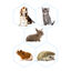 Beaphar Lactol Kit Biberão para animais de estimação, , large Indicador imagem número 2