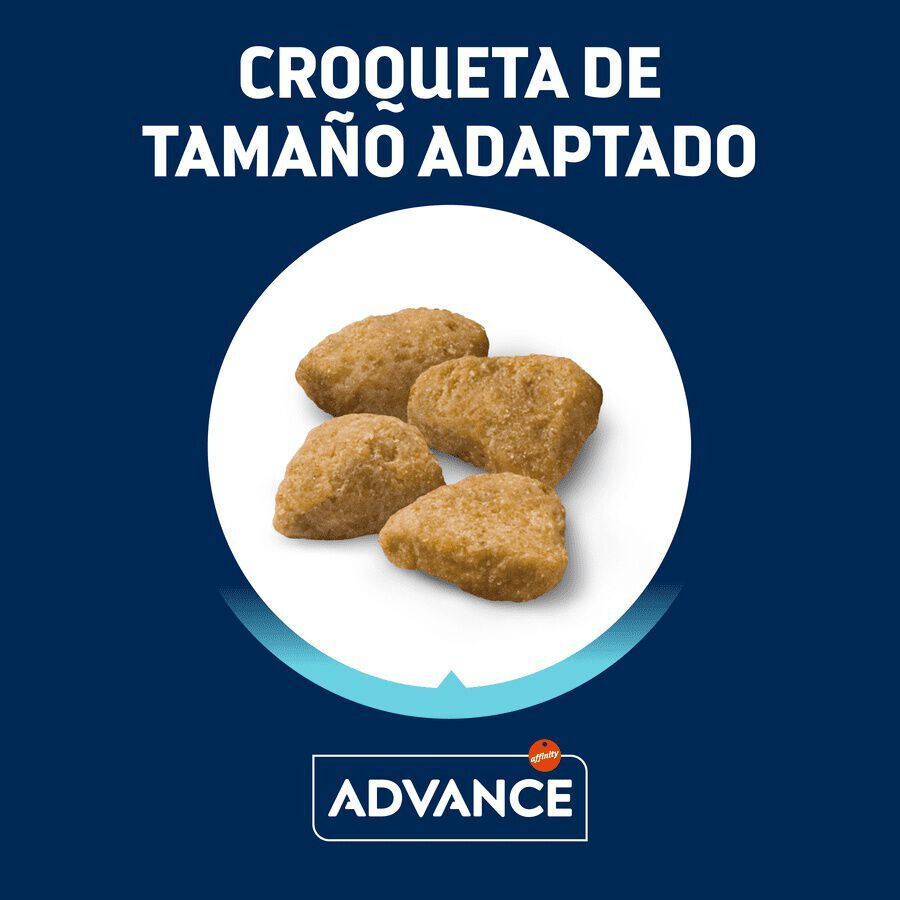 10 kg Advance Active Defense Sensitive Sterilized Salm&atilde;o e Cevada ra&ccedil;&atilde;o para gatos, , large Imagem n&uacute;mero 2