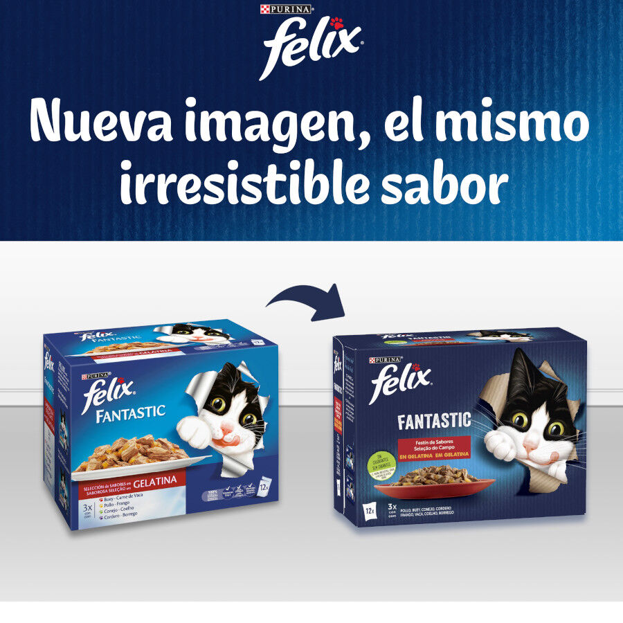 4 saquetas x 85 g Felix Fantastic Sele&ccedil;&otilde;es Favoritas saquetas em geleia, , large Imagem n&uacute;mero 7