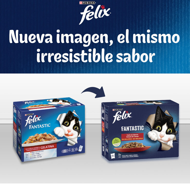 12 saquetas x 85 g Felix Fantastic Seleções Favoritas saquetas em geleia,  Imagem número 8 12 saquetas x 85 g Felix Fantastic Seleções Favoritas saquetas em geleia, , large Imagem número 8