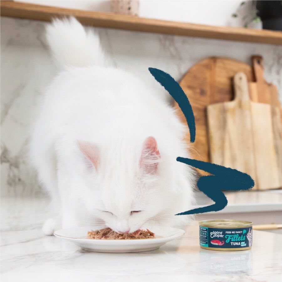 70 g Edgard & Cooper Alimento h&uacute;mido de atum e lula em lata para gatos, , large Imagem n&uacute;mero 3
