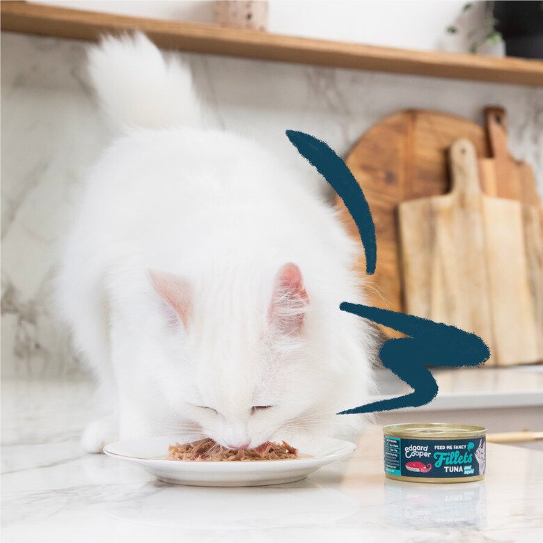 70 g Edgard & Cooper Alimento húmido de atum e lula em lata para gatos,  Imagem número 3 70 g Edgard & Cooper Alimento húmido de atum e lula em lata para gatos, , large Imagem número 3