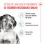 140 g Royal Canin Medium Puppy saquetas para cães, , large Indicador imagem número 3