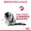 85 g Royal Canin Hairball Care Saquetas em Gelatina para gatos, , large Indicador imagem número 4