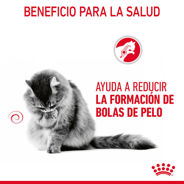 85 g Royal Canin Hairball Care Saquetas em Gelatina para gatos,  Imagem número 4 85 g Royal Canin Hairball Care Saquetas em Gelatina para gatos, , large Imagem número 4