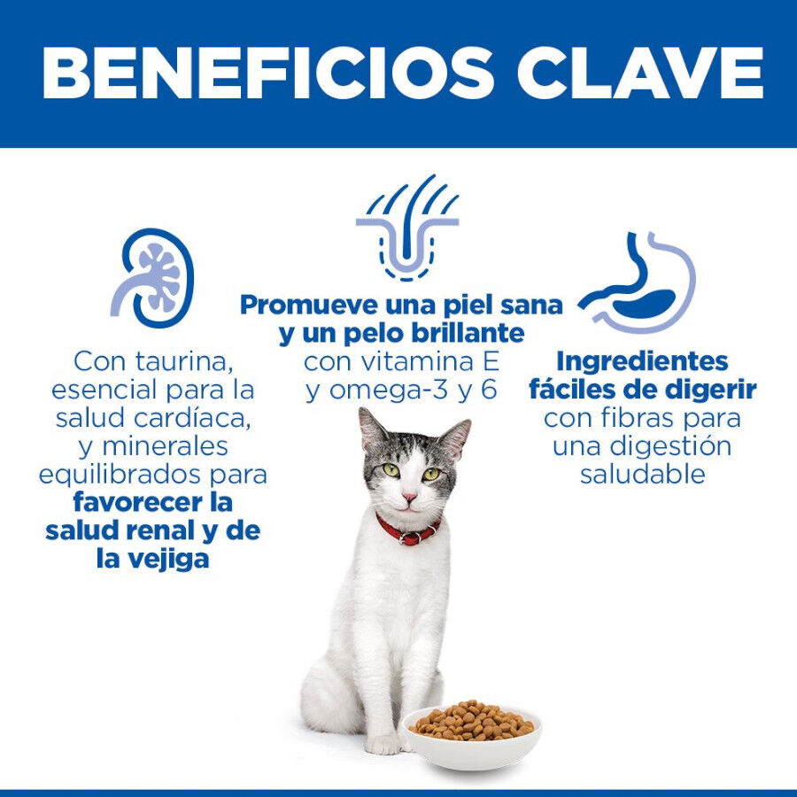 1.5 kg Hill's Senior Frango ra&ccedil;&atilde;o para gatos, , large Imagem n&uacute;mero 5