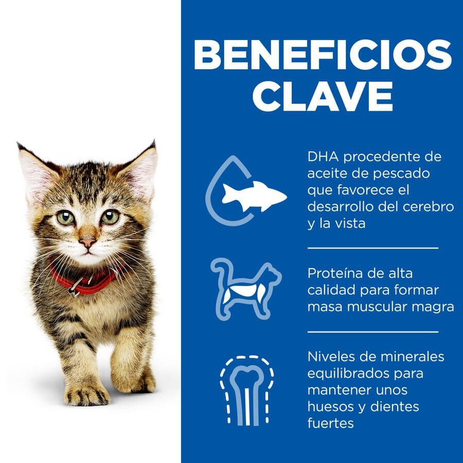 300 g Hill's Kitten Science Plan Atum ra&ccedil;&atilde;o, , large Imagem n&uacute;mero 4