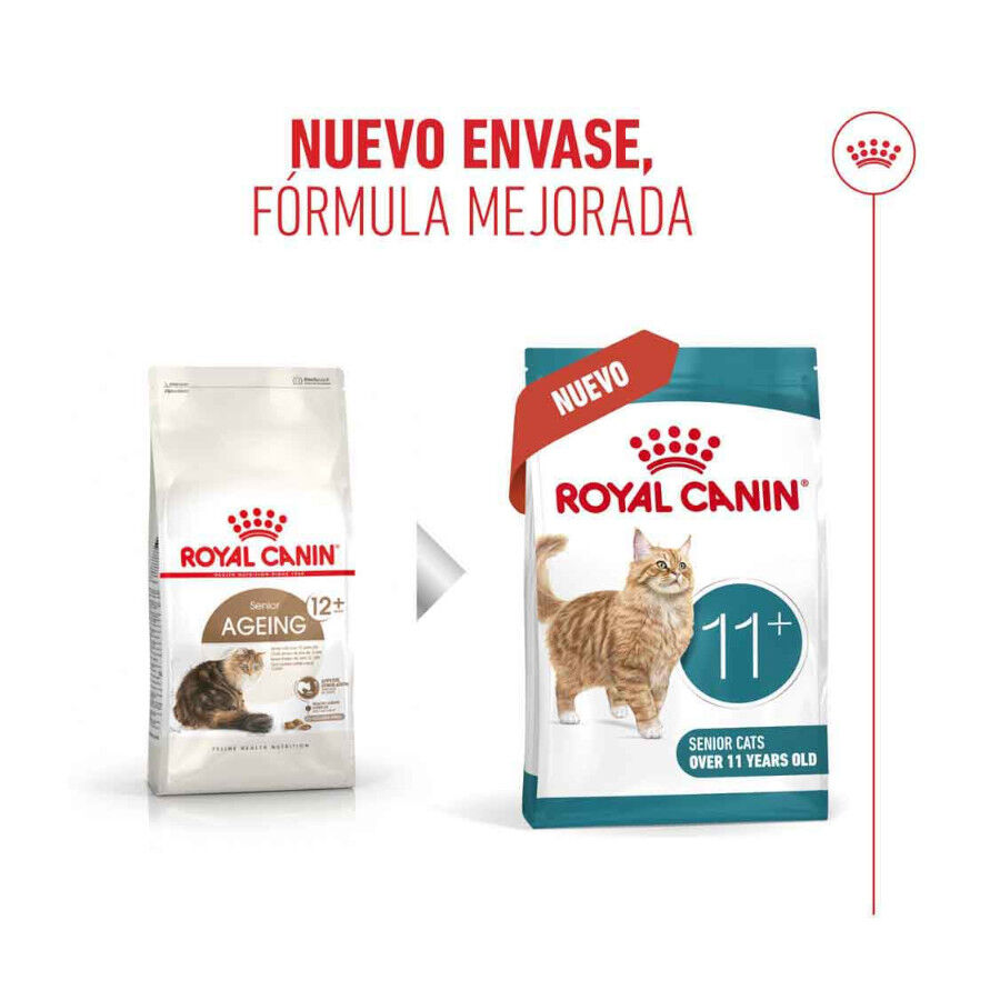 4 kg Royal Canin Ageing 11+ ra&ccedil;&atilde;o para gatos, , large Imagem n&uacute;mero 3