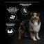 Pro Plan Optidigest Medium & Large Peru ração para cães, , large Indicador imagem número 3