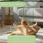 Tootoy! Interactive & Stimulate Rato com Pega para gatos, , large Indicador imagem n&uacute;mero 5
