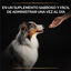 67 g Pro Plan Relax + para cães, , large Indicador imagem número 3