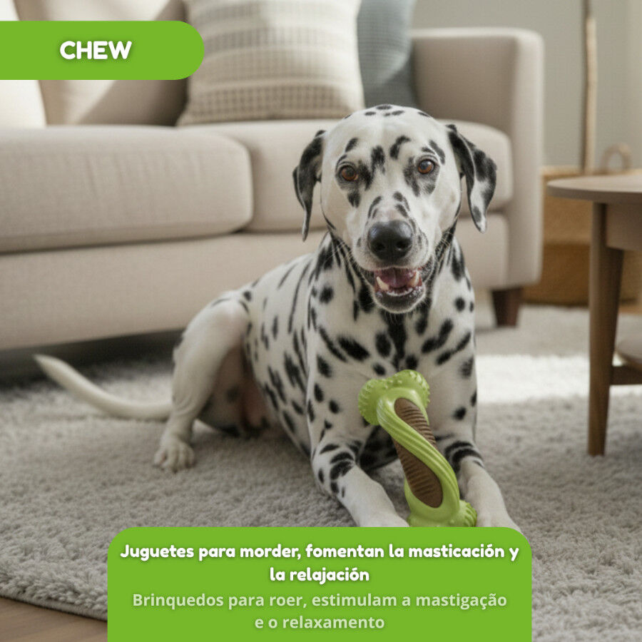 Tootoy! Chew Mordedor osso dent&aacute;rio para c&atilde;es, , large Imagem n&uacute;mero 5