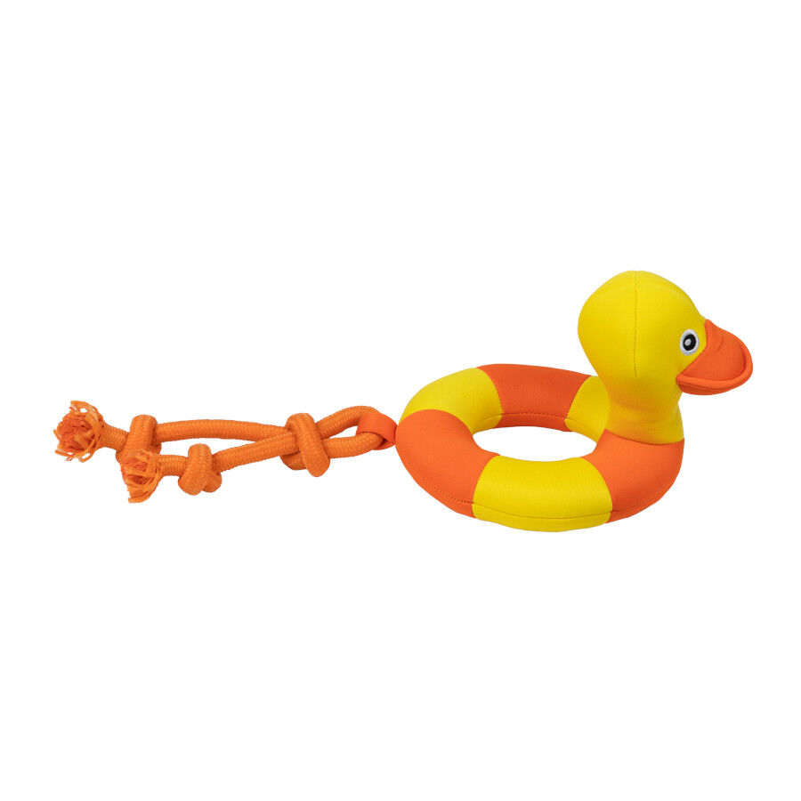Pato flutuante para c&atilde;es, , large Imagem n&uacute;mero 4