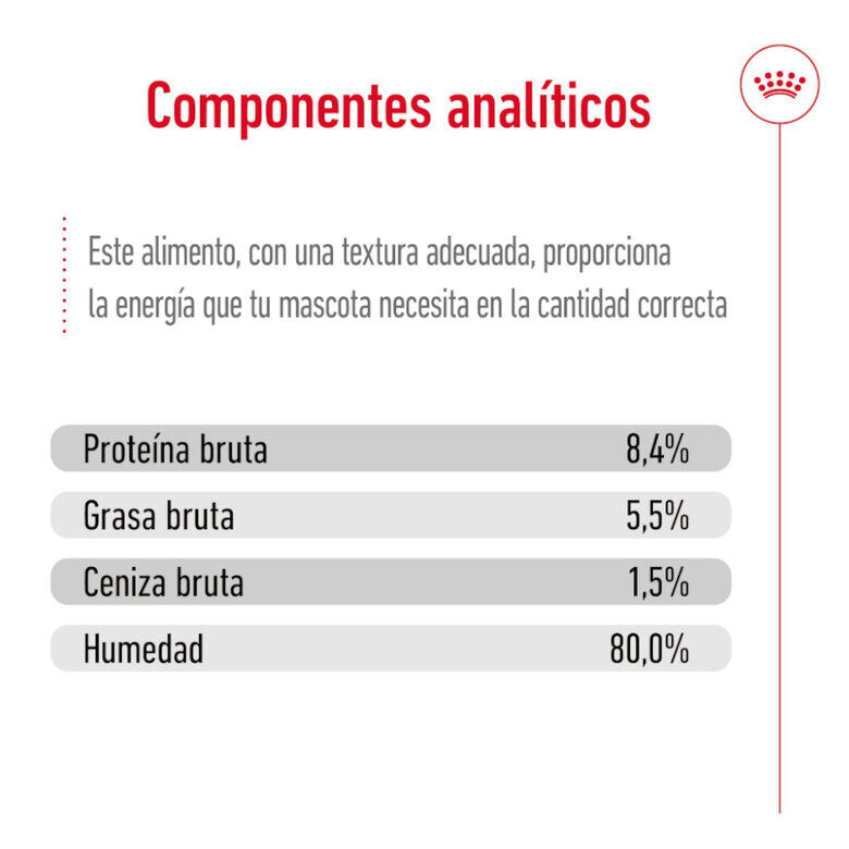 195 g Royal Canin Mini 8+ Ageing lata para c&atilde;es, , large Imagem n&uacute;mero 7
