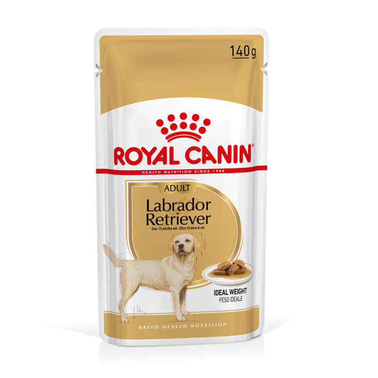 140 g Saquetas Royal Canin Labrador 140g,  Imagem número 1 140 g Saquetas Royal Canin Labrador 140g, , large Imagem número 1