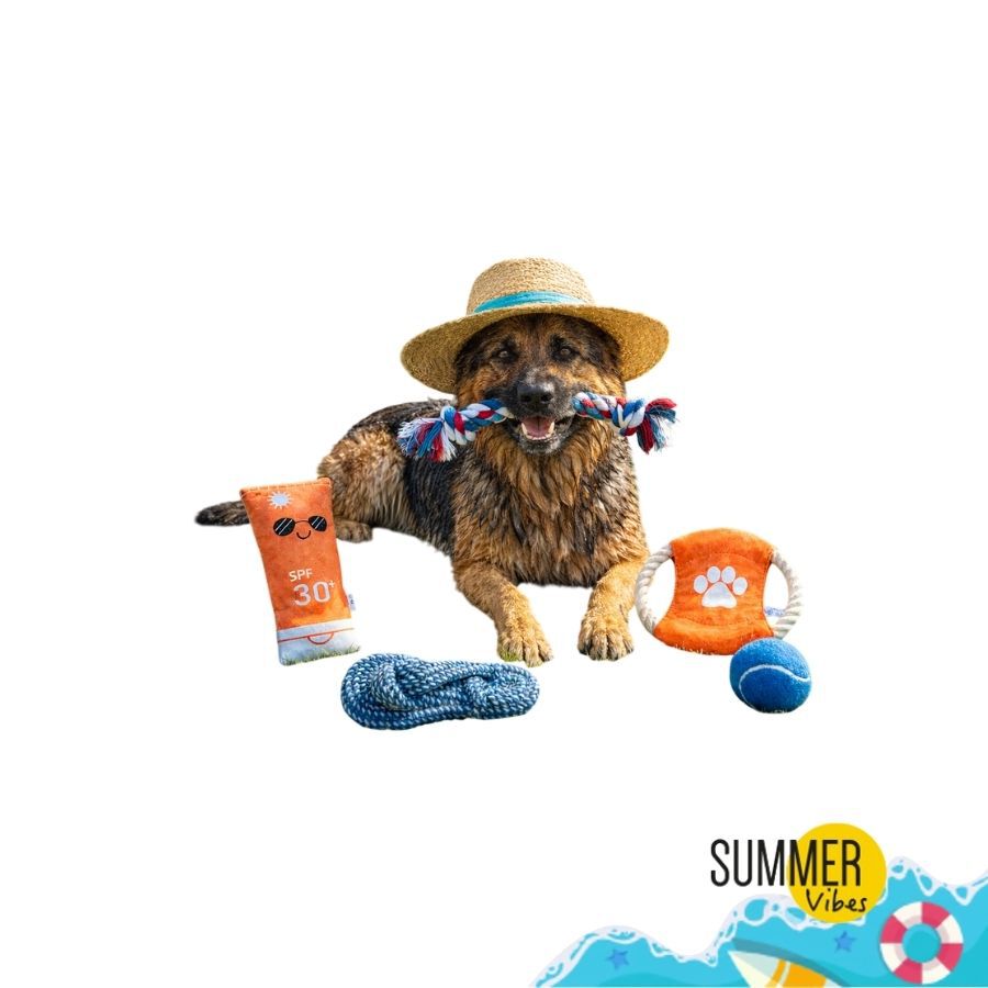 Summer Vibes The Beach Club Set x5 Brinquedos para c&atilde;es, , large Imagem n&uacute;mero 1