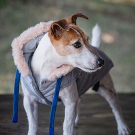 Freedog Iceguard Capa de Chuva Azul-claro para cães