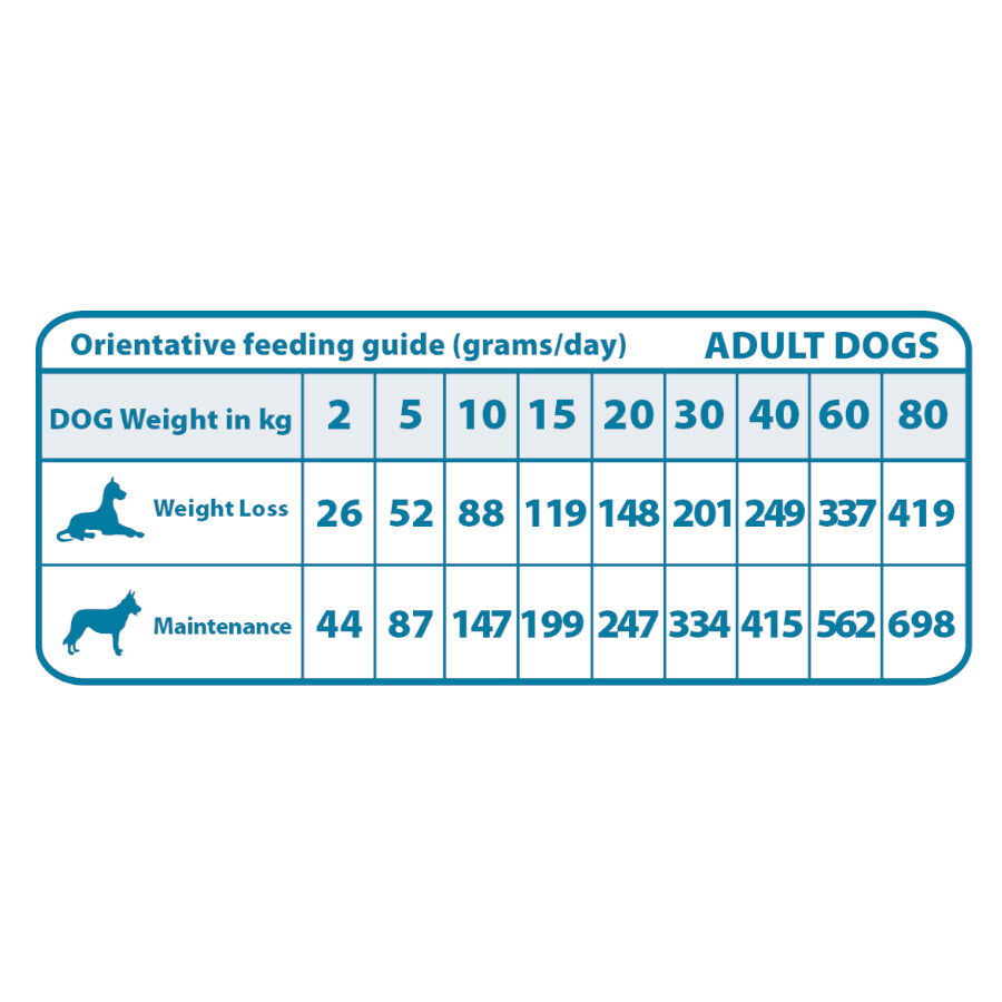 Natural Greatness Joint & Mobility Ra&ccedil;&atilde;o Hipoalerg&eacute;nica para c&atilde;es, , large Imagem n&uacute;mero 2