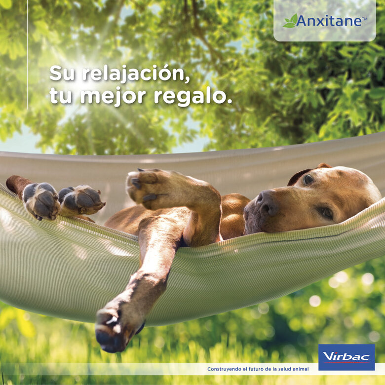 S Virbac Anxitane Relaxantes em comprimidos para cães e gatos,  Imagem número 4 S Virbac Anxitane Relaxantes em comprimidos para cães e gatos, , large Imagem número 4