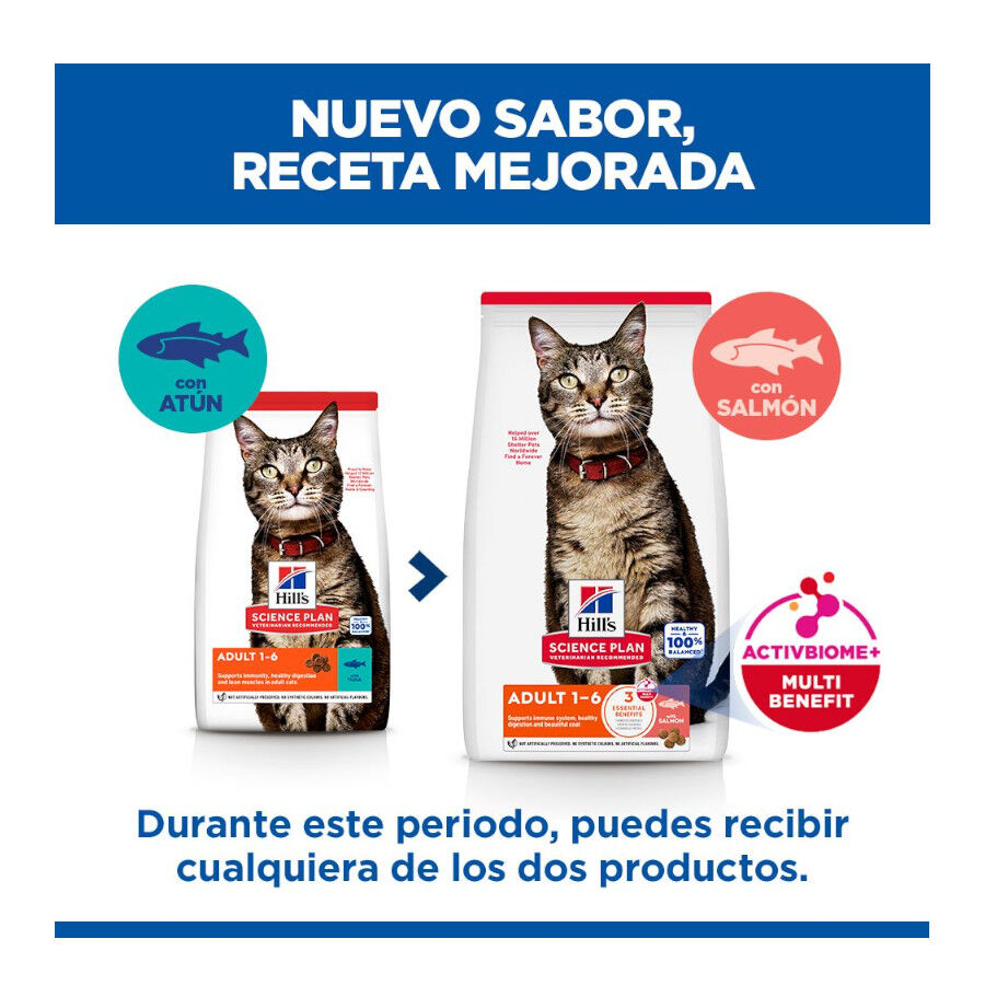 1.5 kg Hill's Science Plan Adult Ra&ccedil;&atilde;o de salm&atilde;o para gatos, , large Imagem n&uacute;mero 3