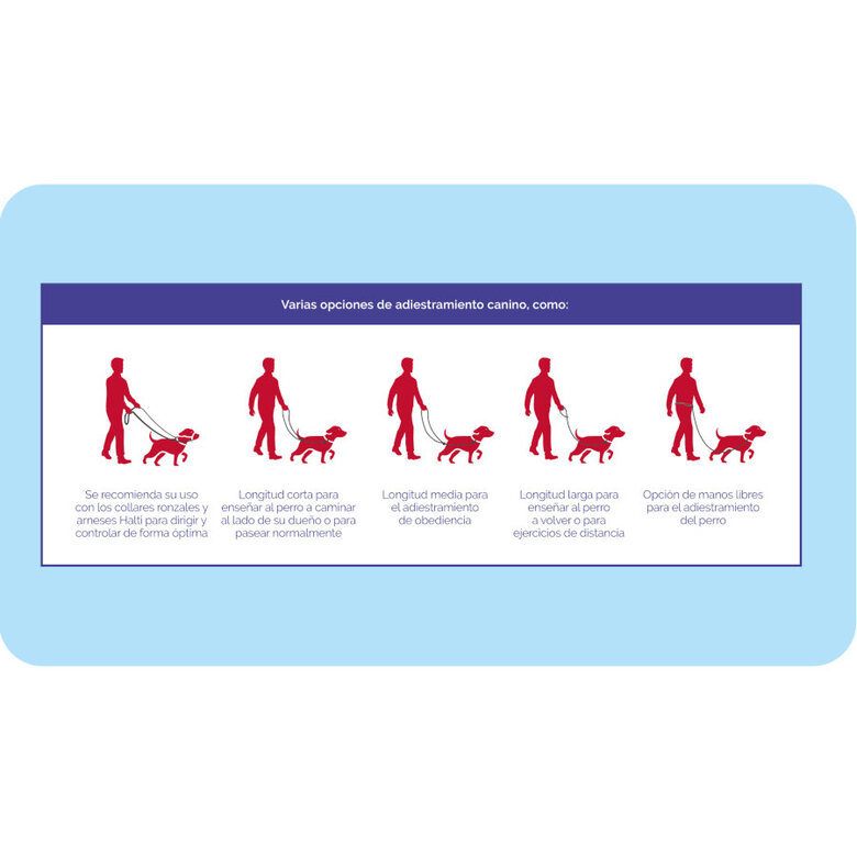 Halti Trela de treino preta para cães,  Imagem número 5 Halti Trela de treino preta para cães, , large Imagem número 5