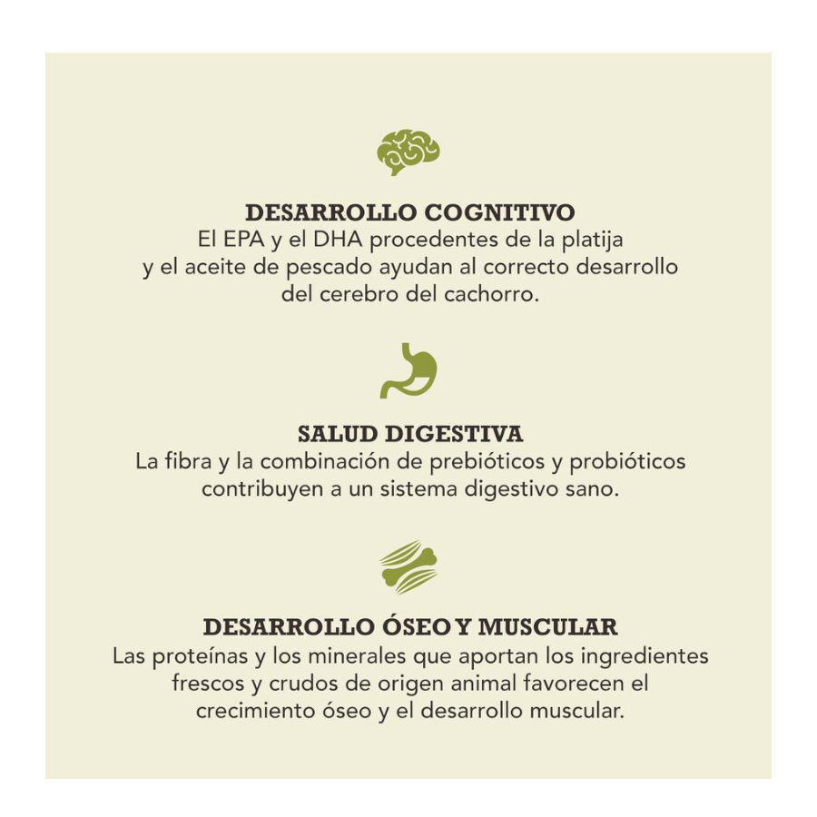 17 kg Acana Puppy Medium ra&ccedil;&atilde;o para c&atilde;es, , large Imagem n&uacute;mero 4