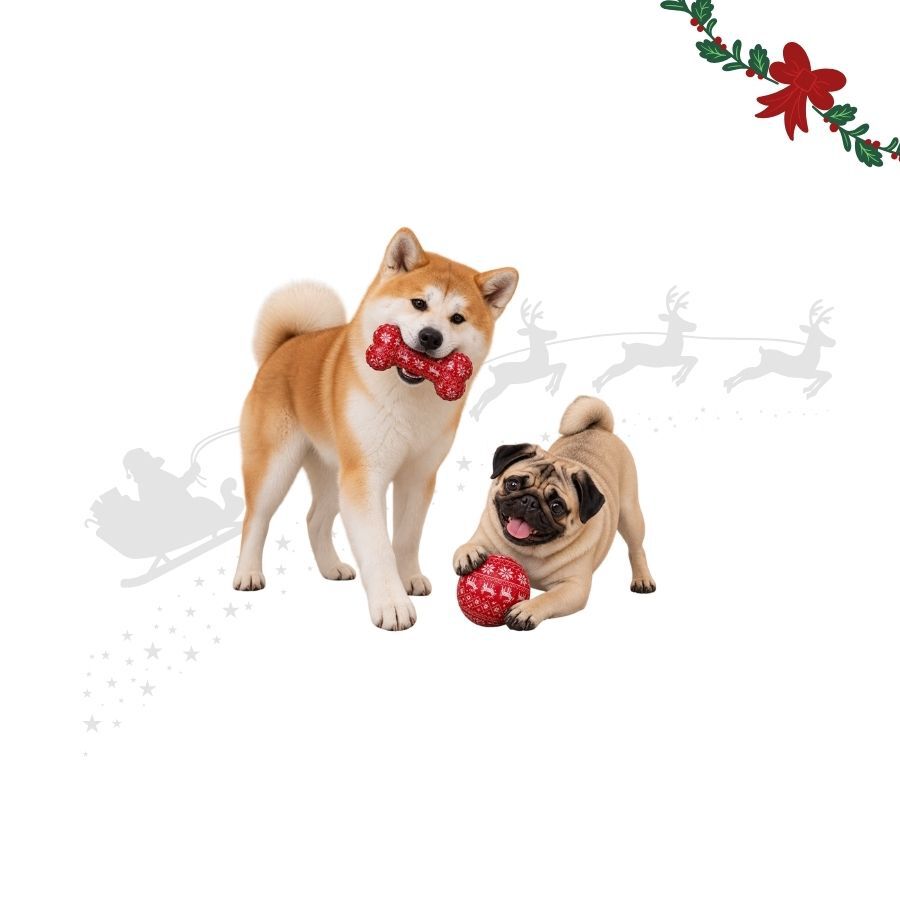 Wonder Christmas Osso e Bola Brinquedo para c&atilde;es, , large Imagem n&uacute;mero 1