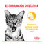 85 g Royal Canin Adult Sensory Taste molho saqueta para gatos, , large Indicador imagem número 4