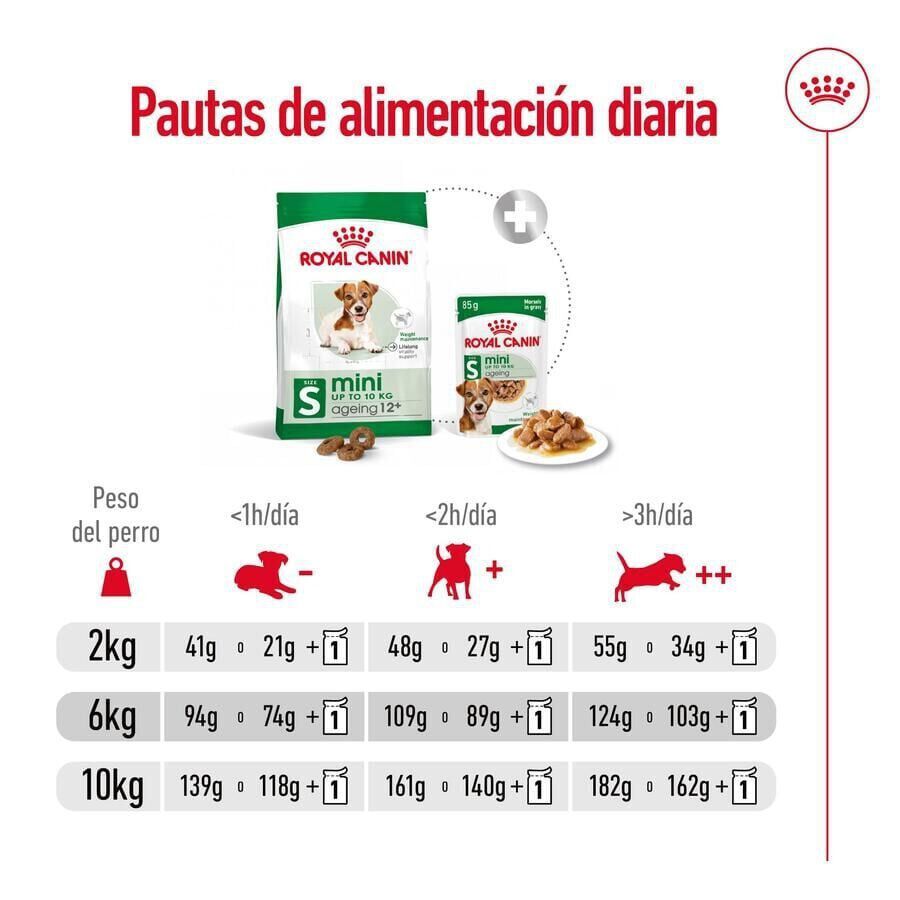 3.5 kg Royal Canin Mini 12+ Ageing ra&ccedil;&atilde;o para c&atilde;es, , large Imagem n&uacute;mero 9