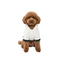 Gotoo Pijama Multicolor em Blocos para c&atilde;es, , large Indicador imagem n&uacute;mero 7