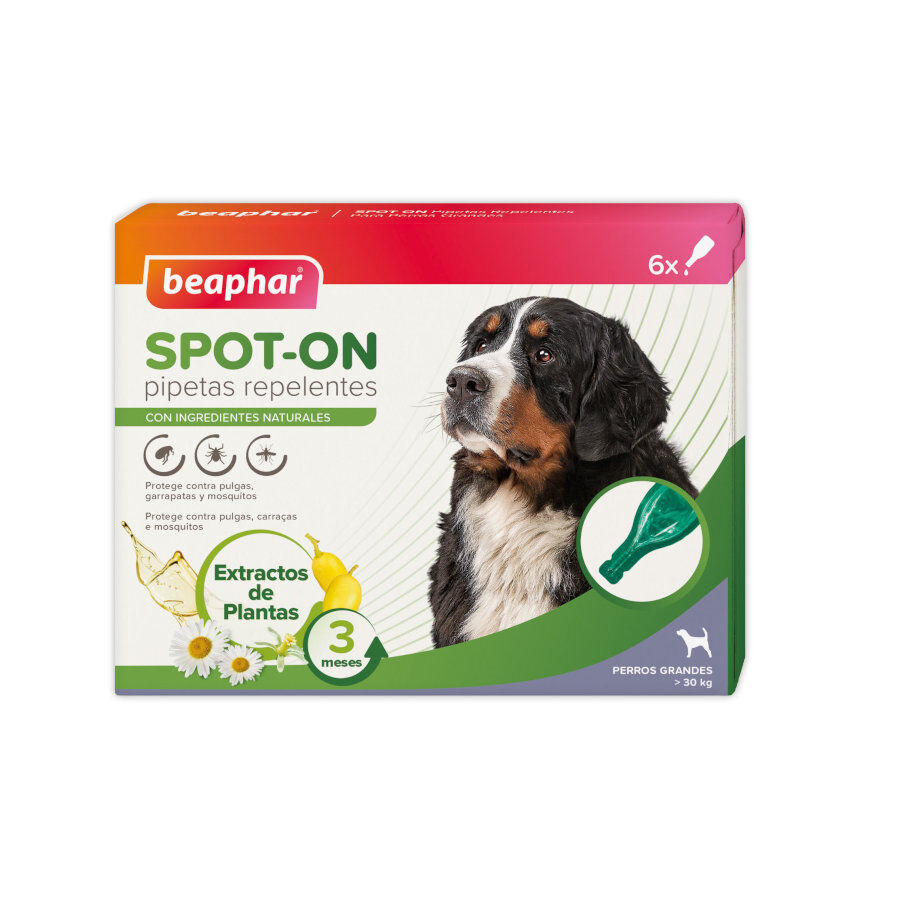 Beaphar Pipetas Repelentes para c&atilde;es, , large Imagem n&uacute;mero 1