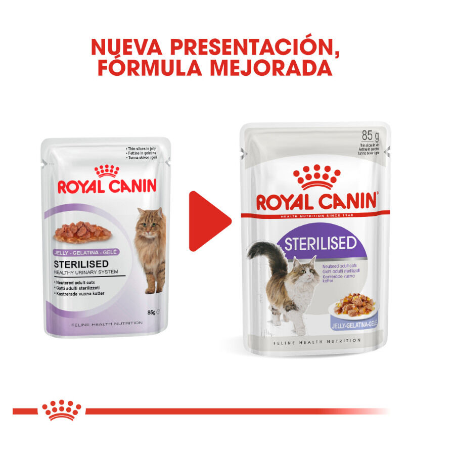 85 g Royal Canin Sterilised Saquetas em gelatina para gatos, , large Imagem n&uacute;mero 3