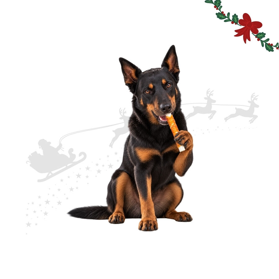 1 pack x 10 uns. Wonder Christmas Rolinhos Revestidos com Frango Snacks para C&atilde;es, , large Imagem n&uacute;mero 1