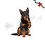 1 pack x 10 uns. Wonder Christmas Rolinhos Revestidos com Frango Snacks para C&atilde;es, , large Indicador imagem n&uacute;mero 1