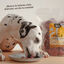 1 kg Wild Balance BARF Frango e Legumes alimentação natural congelada para cães, , large Indicador imagem número 6