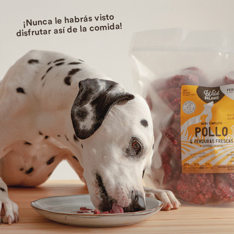 1 kg Wild Balance BARF Frango e Legumes alimentação natural congelada para cães,  Imagem número 6 1 kg Wild Balance BARF Frango e Legumes alimentação natural congelada para cães, , large Imagem número 6