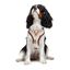 Dukier Peitoral reversível com estampado de tartaruga para cães, , large Indicador imagem número 3