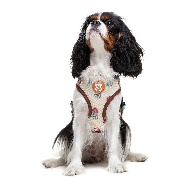 Dukier Peitoral reversível com estampado de tartaruga para cães,  Imagem número 3 Dukier Peitoral reversível com estampado de tartaruga para cães, , large Imagem número 3