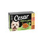 4 terrinas x 150 g Cesar Recetas da horta Terrina em Pat&ecirc; e Geleia para C&atilde;es - Multipack, , large Indicador imagem n&uacute;mero 1