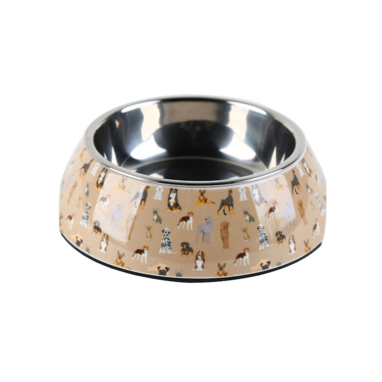 Leeby Comedouro marrom em inox para cães,  Imagem número 1 Leeby Comedouro marrom em inox para cães, , large Imagem número 1