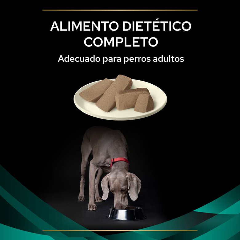 Pro Plan Veterinary Diets Gastrointestinal latas para cães, , large image number null