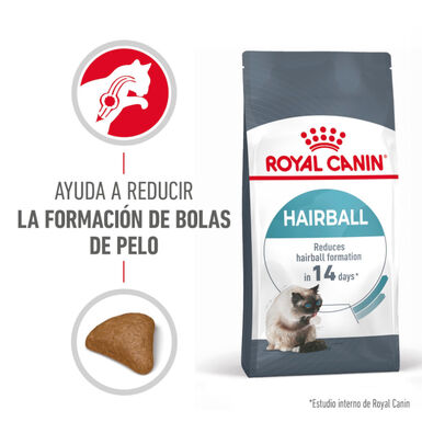 Royal Canin Intense Hairball ração para gatos bolas de pelo