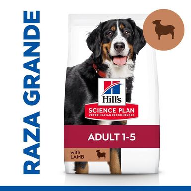 Hill's Science Plan Adult Large Cordeiro ração para cães