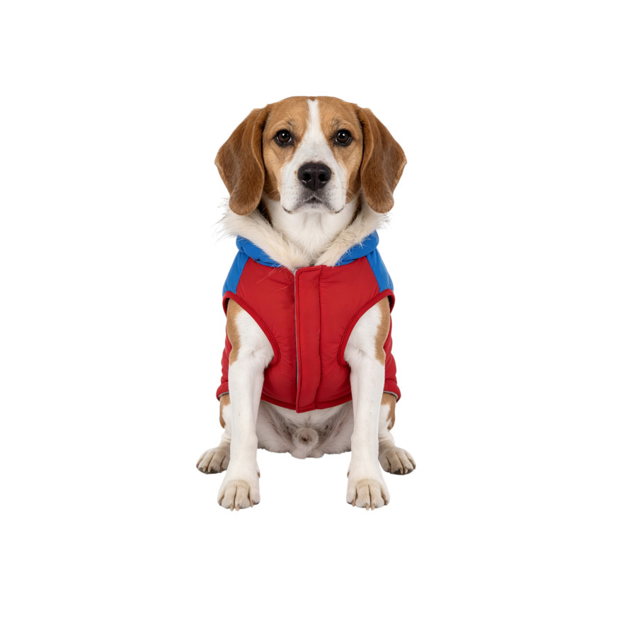 Gotoo Casaco Vermelho com Capuz para c&atilde;es, , large Imagem n&uacute;mero 7