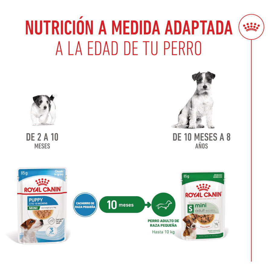 85 g Royal Canin Mini Puppy alimento h&uacute;mido em molho saquetas para c&atilde;es, , large Imagem n&uacute;mero 6