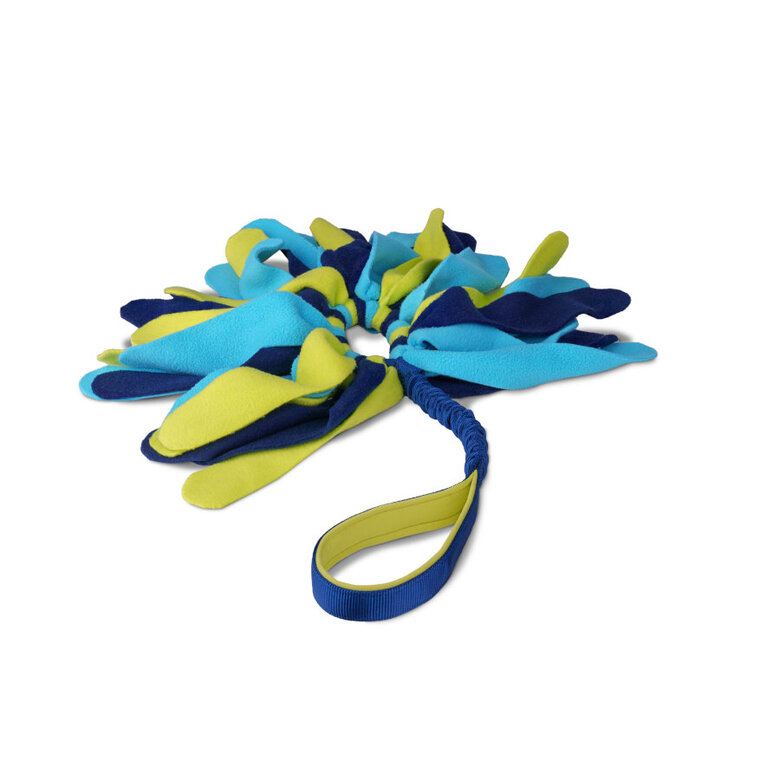 Coachi Tuggi Spider brinquedo para cães,  Imagem número 1 Coachi Tuggi Spider brinquedo para cães, , large Imagem número 1