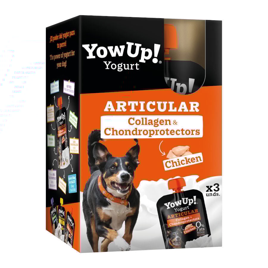 3 uds. x 115 g YowUp! Articular Iogurte de Frango para c&atilde;es , , large Imagem n&uacute;mero 1