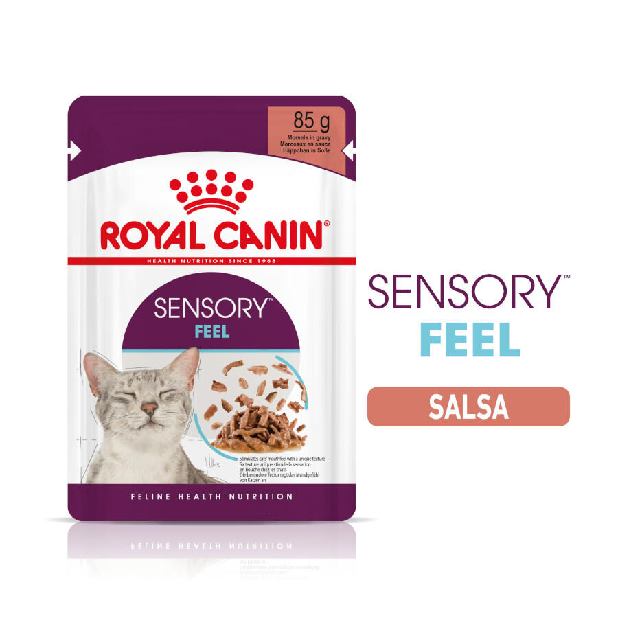 85 g Royal Canin Adult Sensory Feel molho saqueta para gatos, , large Imagem n&uacute;mero 1