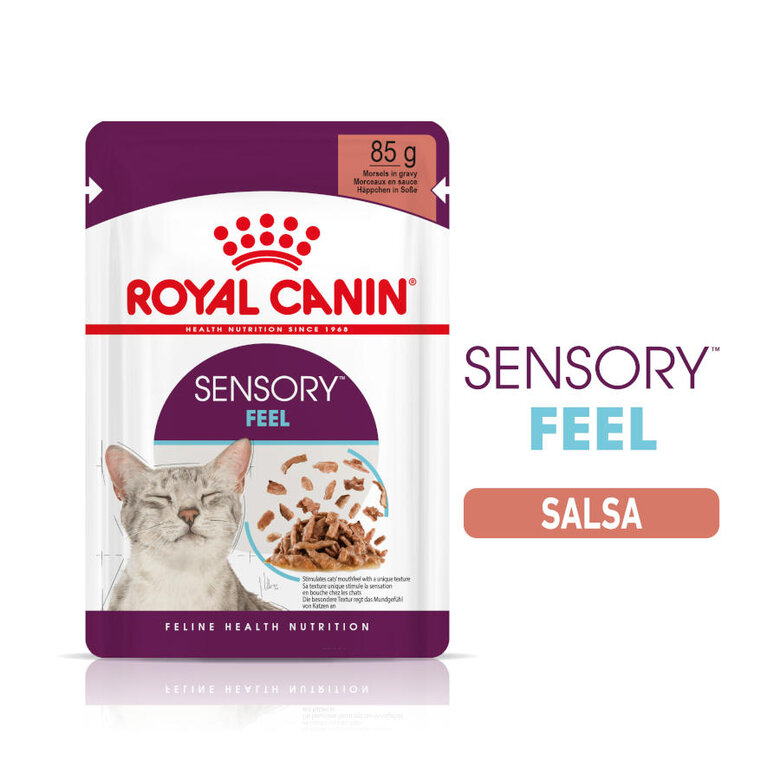 Royal Canin Adult Sensory Feel molho saqueta para gatos, , large image number null